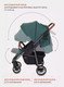 Миниатюра изображения товара Детская прогулочная коляска Rant Vega 2023 / RA057 (зеленый)