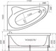Миниатюра изображения товара Ванна акриловая Triton Изабель 170x100 L