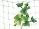 Миниатюра изображения товара Сетка садовая Interlok Шпалерная (2x5м)