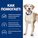 Миниатюра изображения товара Сухой ветеринарный корм для собак Hill's Prescription Diet d/d с уткой и рисом / 605839 (1.5кг)