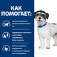 Миниатюра изображения товара Сухой ветеринарный корм для собак Hill's Prescription Diet Metabolic+Mobility Mini / 606209 (6кг)