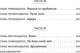 Миниатюра изображения товара Книга Эксмо Пятьдесят слов дождя (Лемми А.)