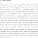 Миниатюра изображения товара Эмульсия для лица Missha ChoGongJin Youngan Jin Emulsion Антивозрастная (125мл)