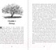 Миниатюра изображения товара Книга АСТ Темногорье 2. Яблоневая долина (Кутузова Л.В.)
