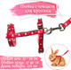 Миниатюра изображения товара Шлея с поводком Duvo Plus Walking Set / 11926/red (красный)