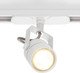 Миниатюра изображения товара Трековый светильник Citilux Ринг CL525T10