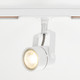Миниатюра изображения товара Трековый светильник Citilux Ринг CL525T10