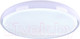 Миниатюра изображения товара Потолочный светильник Mirastyle XL-029/500-80W RGB