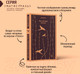 Миниатюра изображения товара Художественная книга Эксмо Над гнездом кукухи / 9785041732332 (Кизи К.)