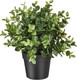 Миниатюра изображения товара Искусственное растение Ikea Фейка 103.751.59