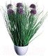 Миниатюра изображения товара Искусственное растение Merry Bear Home Decor Микс трава-шнитт лук / KD4090-55-22