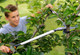 Миниатюра изображения товара Сучкорез механический Fiskars LX94 PowerGear 1020187