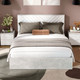 Миниатюра изображения товара Двуспальная кровать ТриЯ Хилтон универсальная тип 1 с ПМ 160x200 (ателье светлый/белый)