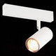 Миниатюра изображения товара Трековый светильник ST Luce ST504.526.01 (белый)
