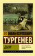 Миниатюра изображения товара Книга АСТ Дым. Эксклюзив: Русская классика (Тургенев И.С.)