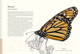 Миниатюра изображения товара Энциклопедия Махаон Загадочный мир бабочек (Ротери Б.)