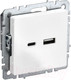 Миниатюра изображения товара Розетка IEK Brite BR-U22-018-K01 (белый)