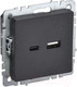 Миниатюра изображения товара Розетка IEK Brite BR-U22-018-K02 (черный)
