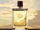 Миниатюра изображения товара Парфюмерная вода Hermes Terre D'Hermes Eau Intense Vetiver (100мл)