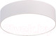 Миниатюра изображения товара Потолочный светильник ST Luce ST606.542.27 (белый)