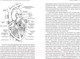 Миниатюра изображения товара Книга КоЛибри Пламенный насос. Естественная история сердца (Шутт Б.)