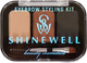 Миниатюра изображения товара Палетка теней для бровей Shinewell Набор для моделирования №1 BSK1-01