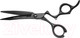 Миниатюра изображения товара Ножницы парикмахерские Artero Evoque T51060