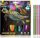 Миниатюра изображения товара Набор цветных карандашей deVente Trio Mega Soft / 5024915 (24цв)
