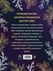 Миниатюра изображения товара Раскраска-антистресс Эксмо Witch Spirit. Разбуди магию внутри себя!
