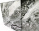 Миниатюра изображения товара Экран для ванны Comfort Alumin Group Дикий пляж 3D 150x50