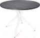 Миниатюра изображения товара Обеденный стол Sheffilton SHT-TU30/TT 90 МДФ (белый/каменный уголь)
