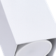 Миниатюра изображения товара Точечный светильник Truenergy 21351