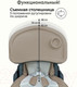 Миниатюра изображения товара Стульчик для кормления Bubago Amelia / BG 103-1 (Beige)