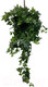 Миниатюра изображения товара Искусственное растение Артфлора Плющ Мария / 107061