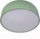 Миниатюра изображения товара Потолочный светильник Loftit Coin 10201/480 (зеленый)