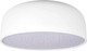 Миниатюра изображения товара Потолочный светильник Loftit Coin 10201/480 (белый)