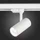Миниатюра изображения товара Трековый светильник ST Luce ST661.536.10