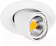 Миниатюра изображения товара Точечный светильник Lightstar Braccio 011060
