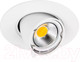 Миниатюра изображения товара Точечный светильник Lightstar Braccio 011060