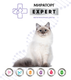 Миниатюра изображения товара Влажный ветеринарный корм для кошек Мираторг Expert Struvite / 1010024067 (80г)