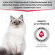 Миниатюра изображения товара Влажный ветеринарный корм для кошек Мираторг Expert Struvite / 1010024067 (80г)