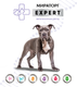 Миниатюра изображения товара Влажный ветеринарный корм для собак Мираторг Expert Renal Бережная забота о здоровье почек / 1010020600 (85г)