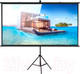 Миниатюра изображения товара Проекционный экран Future Vision Tripod Cinema 220 / T220HMW (220x123.8)