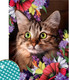 Миниатюра изображения товара Набор алмазной вышивки Школа талантов Кот в цветах / 5099345