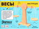Миниатюра изображения товара Конструктор Эврики Весы / 5246352