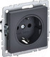 Миниатюра изображения товара Розетка IEK Brite BR-R11-16-K53 (графит)