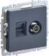 Миниатюра изображения товара Розетка IEK Brite BR-AK20-1-K35 (маренго)