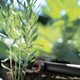 Миниатюра изображения товара Капельница для полива Gardena 08310-29