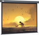 Миниатюра изображения товара Проекционный экран Cactus CS-PSW-124X221-SG