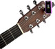 Миниатюра изображения товара Тюнер Planet Waves PW-CT-17PR